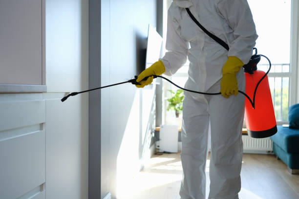 Best Mold Damage Repair  in Arcadia, FL
