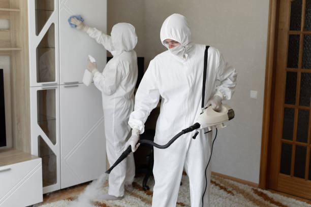 Mold Removal and Inspection in Arcadia, FL