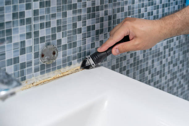 Best Certified Mold Removal  in Arcadia, FL