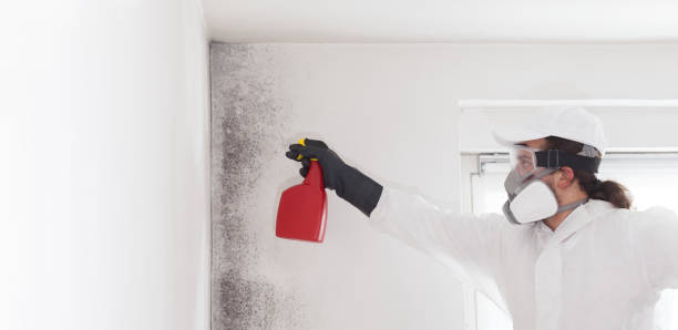 Best Residential Mold Removal  in Arcadia, FL